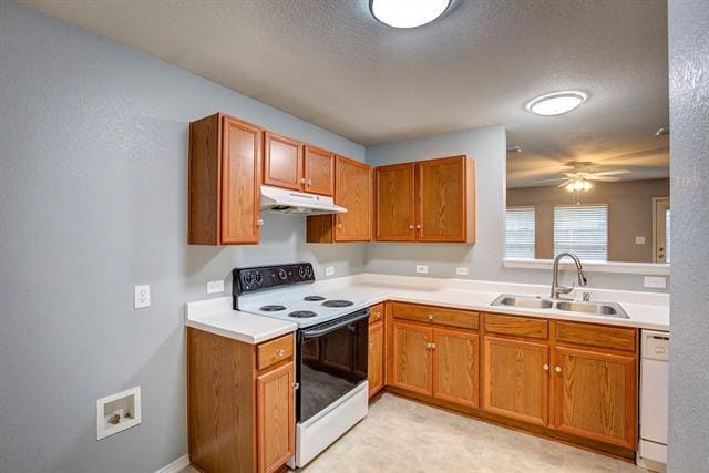 Building Photo - 705 Poncho Ln