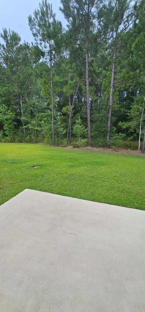 Building Photo - Long-Term Rental – 4BR/2.5BA in The Reserv...