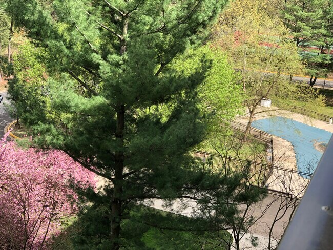 Swimming pool view from the balcony - 3101 S Manchester St