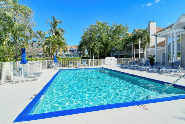 Pool - 850 S Tamiami Trl