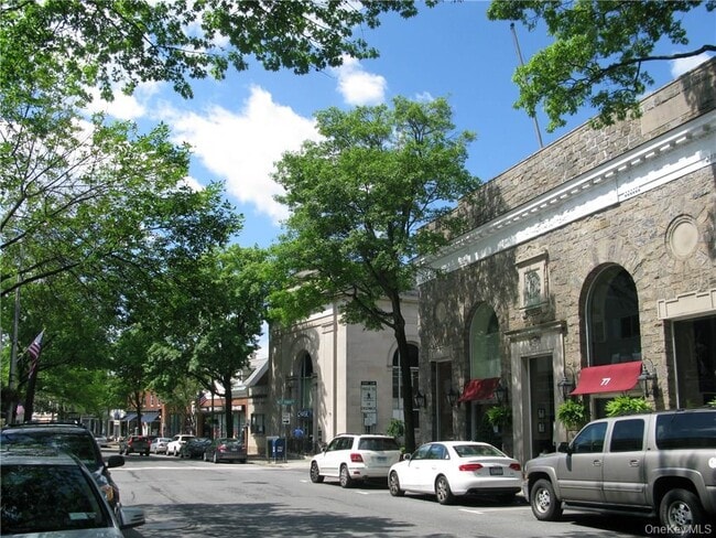 Building Photo - 100 Theodore Fremd Ave