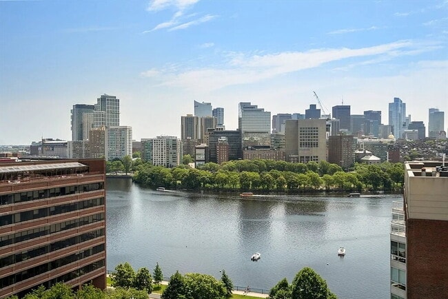 Building Photo - Sunny large 1 bedroom 1 bath condo