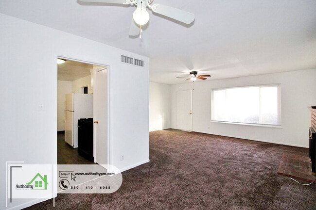 Building Photo - 3120 Stingy Ln