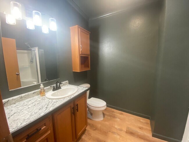 Building Photo - 1027 Falls Creek Dr