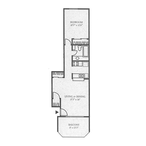 1BR/1BA - Icon on Spanish Trail
