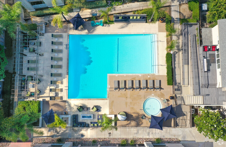 Resort Style Pool - Verandas