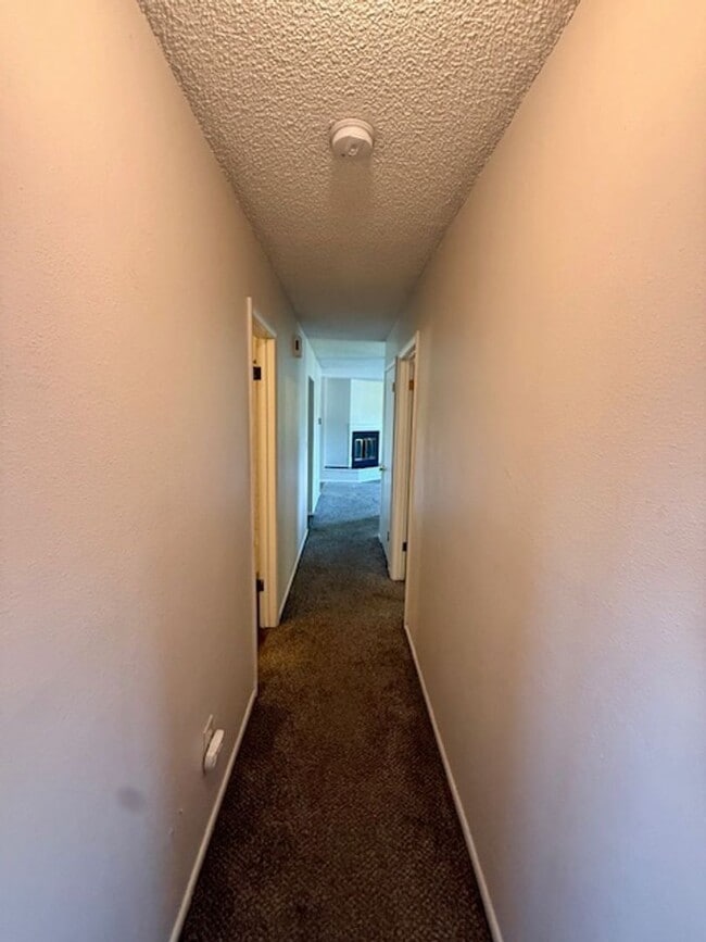 Building Photo - 3 Bedroom, 2 Bathroom Duplex- 5 minute walk from MSU - Flexible Lease Terms - 6 Months, 9 Months ...