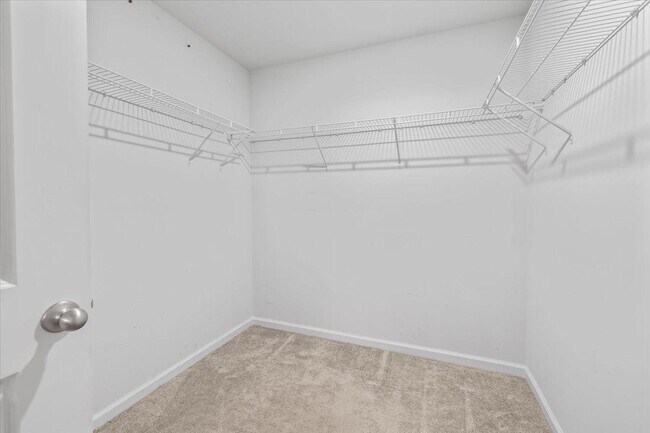 Building Photo - 138 Cotton Bluff Ct