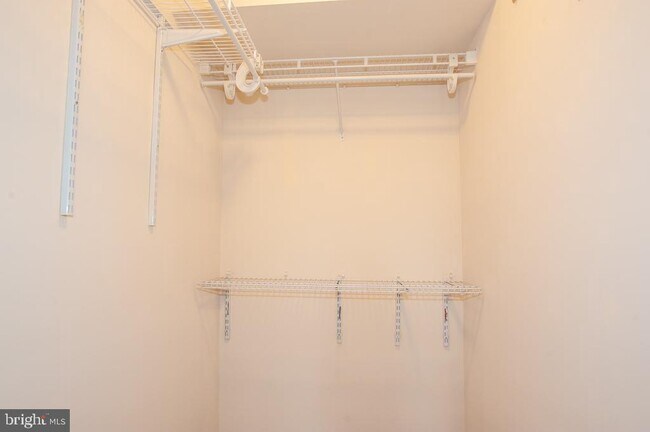 Building Photo - 7526 Coxton Ct