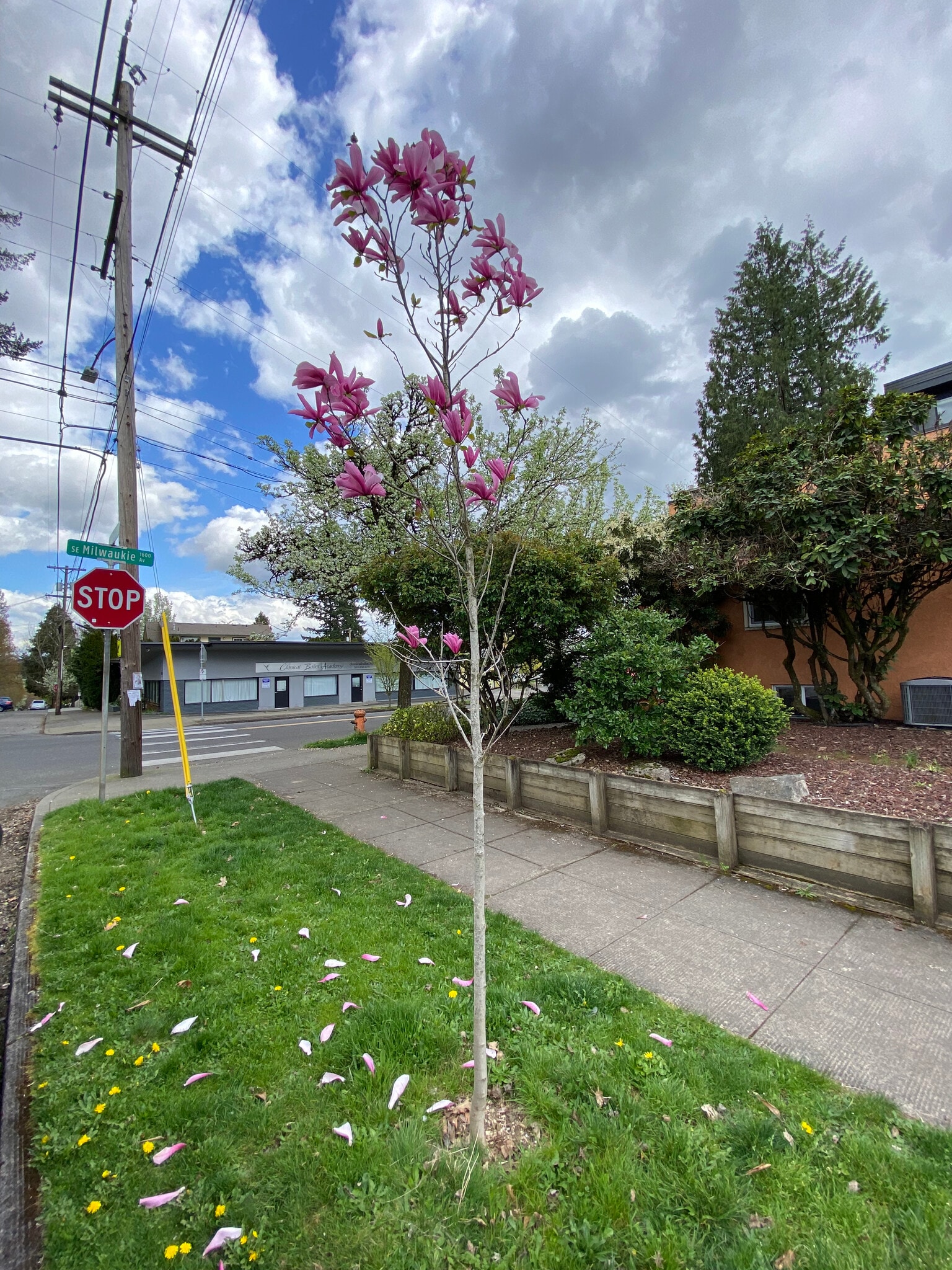 Building Photo - 7955 SE Milwaukie Ave