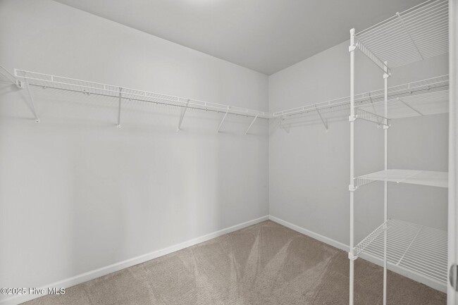 Building Photo - 115 Tralee Pl