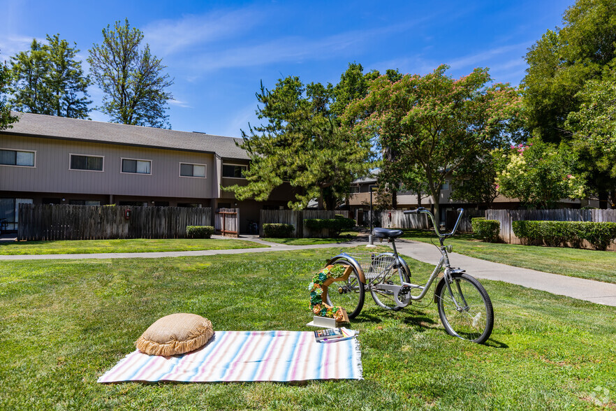 Picnic Area - Casitas Apartments