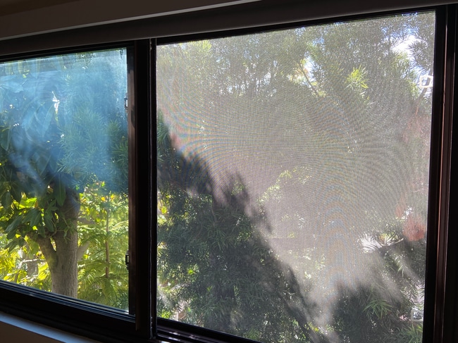 2 Bd rm window view - 1823 11th St