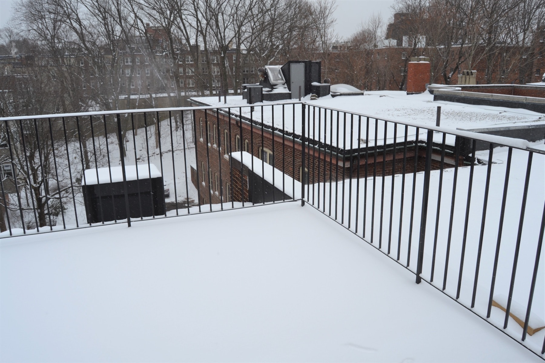 Building Photo - 1203 Beacon St