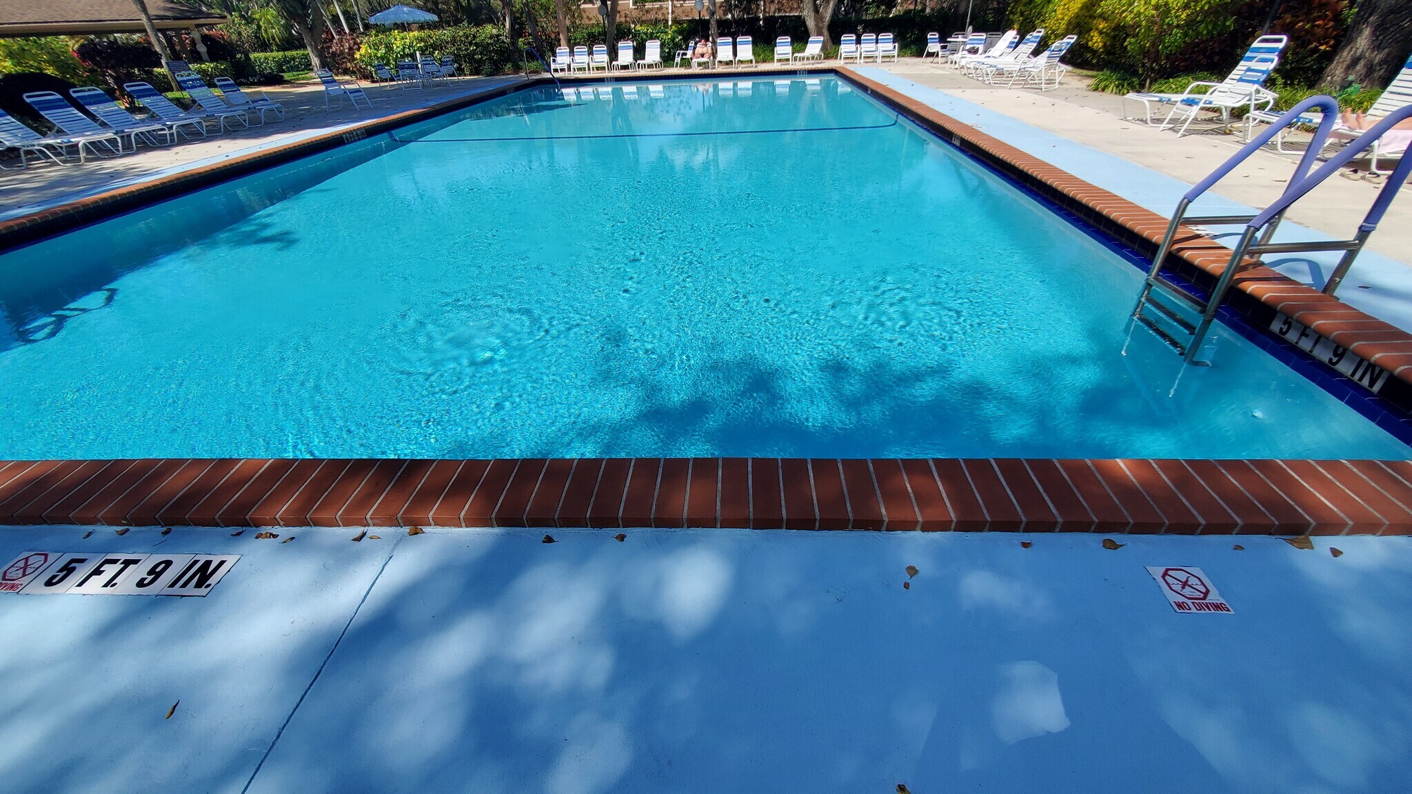 Beautiful pool - 3800 Oaks Clubhouse Dr