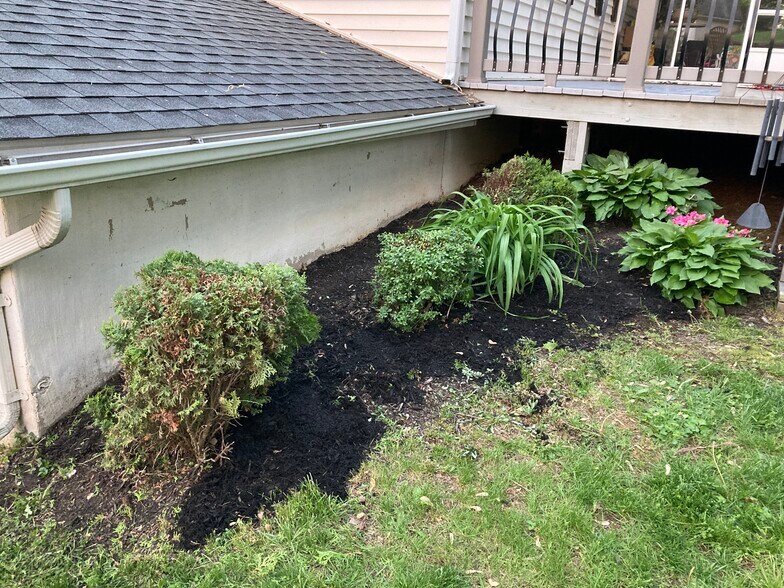 Landscaping behind garage & around large deck - 7288 Beechtree Ln
