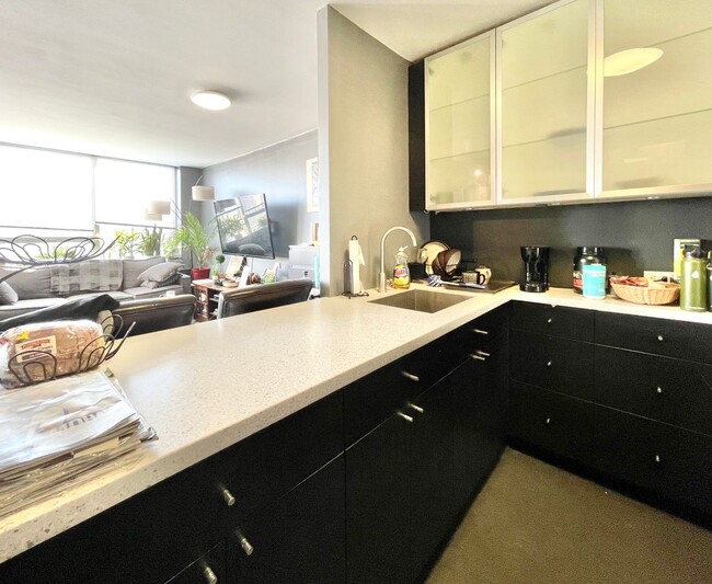 Building Photo - High Floor Studio with Fabulous Views of the Loop FOR RENT!