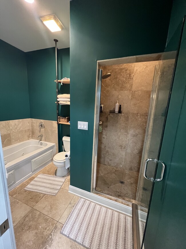 Master bathroom - 1279 N Clybourn Ave