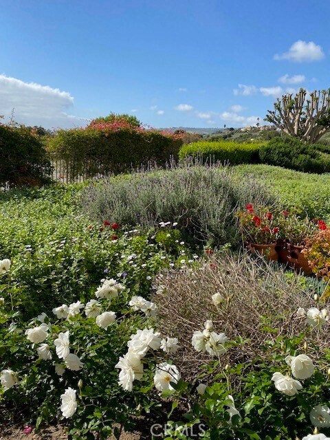 Building Photo - 3200 La Rotonda Dr