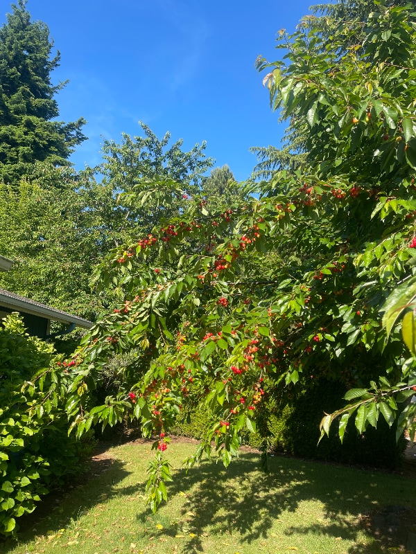 Building Photo - 305 Rosewood St