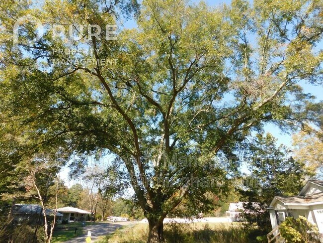 Building Photo - 5208 Highland Ave