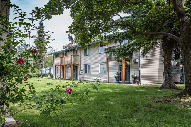 Building Photo - The Landing off Pines