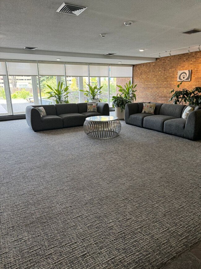 Building Photo - High Rise Condo off 9th and Colorado Blvd