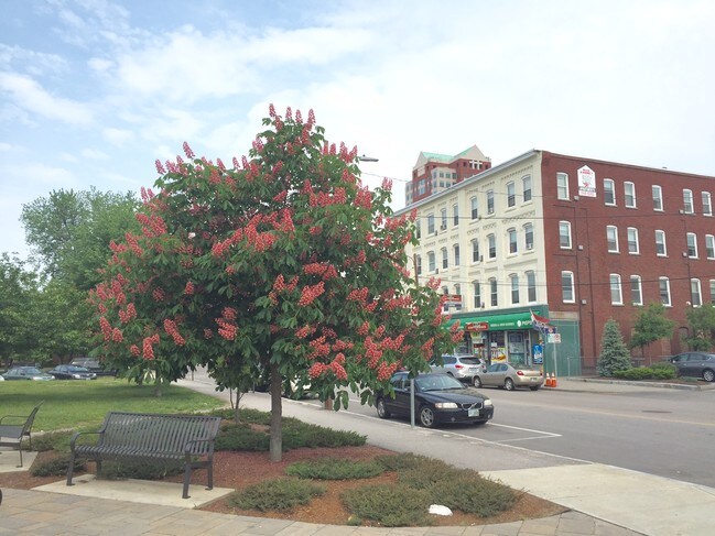 All Utilities Included - 62-64 Merrimack Street
