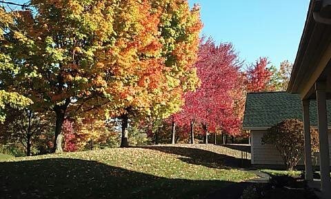Backyard in Fall - 1406 Greymoor Way