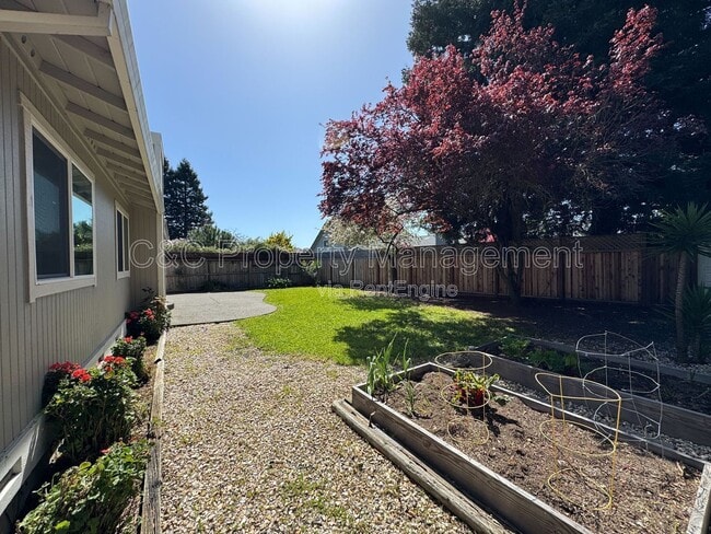 Building Photo - 1663 Calle Ranchero Dr