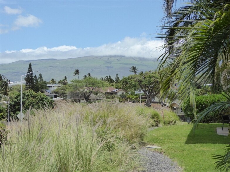 Building Photo - 68-3868-3868 Paniolo Ave