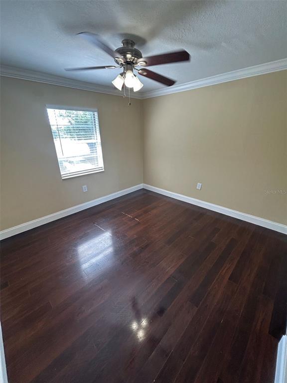 Building Photo - 5221 Bayshore Blvd