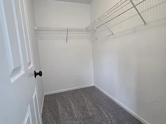 Building Photo - 2909 White Thorn Cir