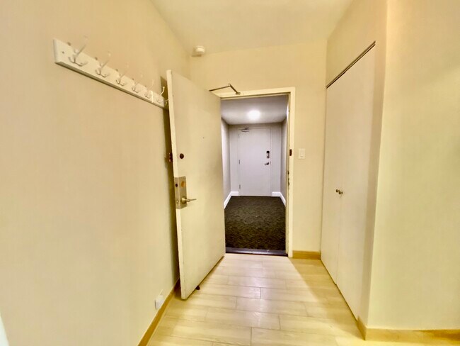 Main entry with large closet to mudroom - 1000 N Lake Shore Dr