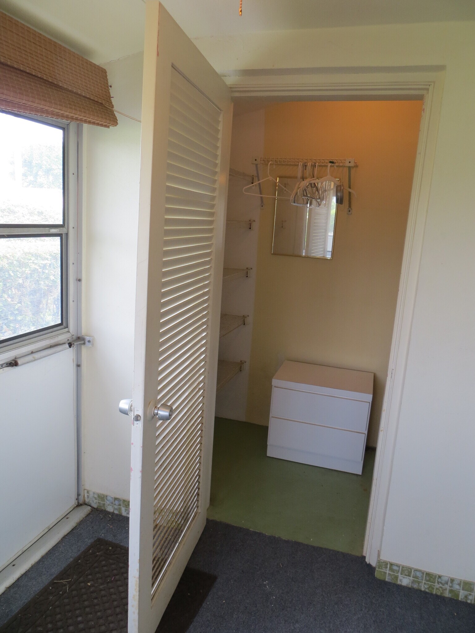 Florida Room Storage Closet - 2723 Dudley Dr E