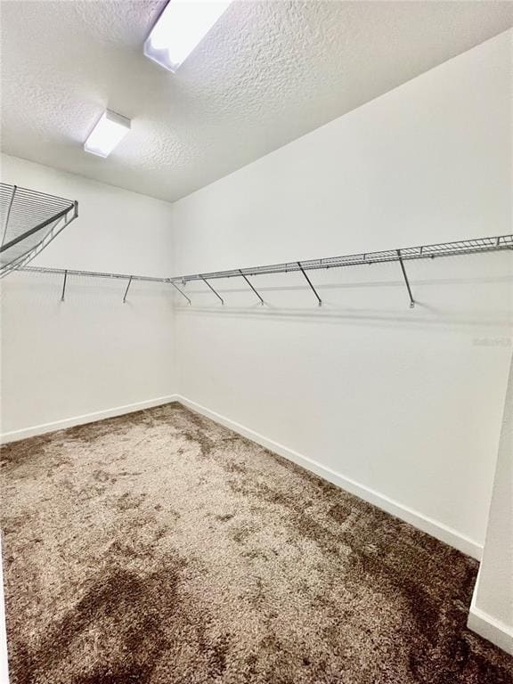 Building Photo - 1498 Bunker Dr