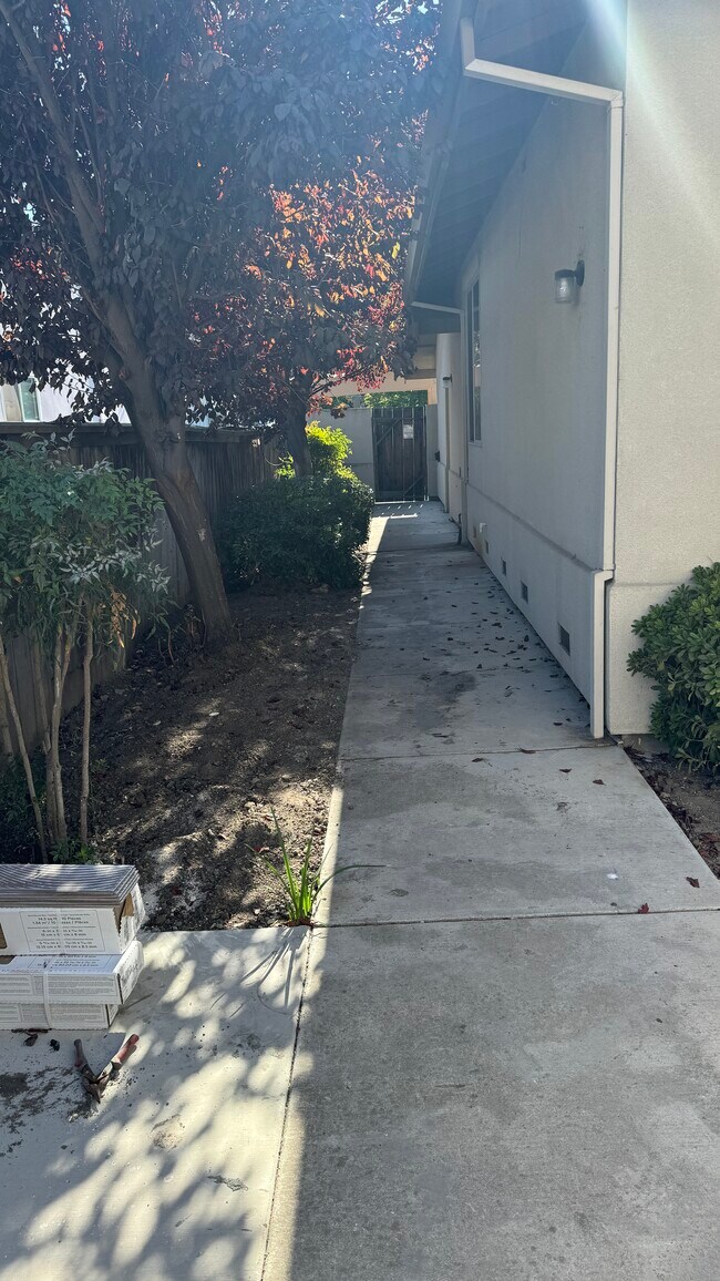 Building Photo - 1019 Castro St