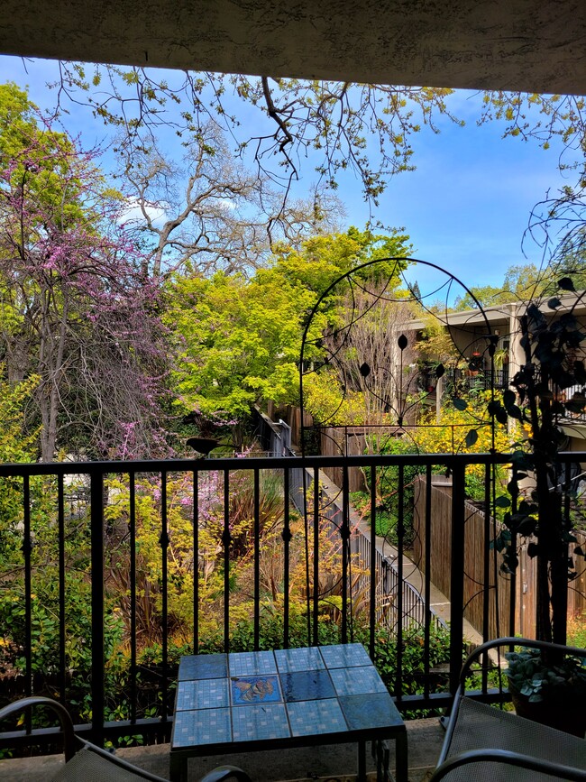 Balcony view - 1470 Creekside Dr