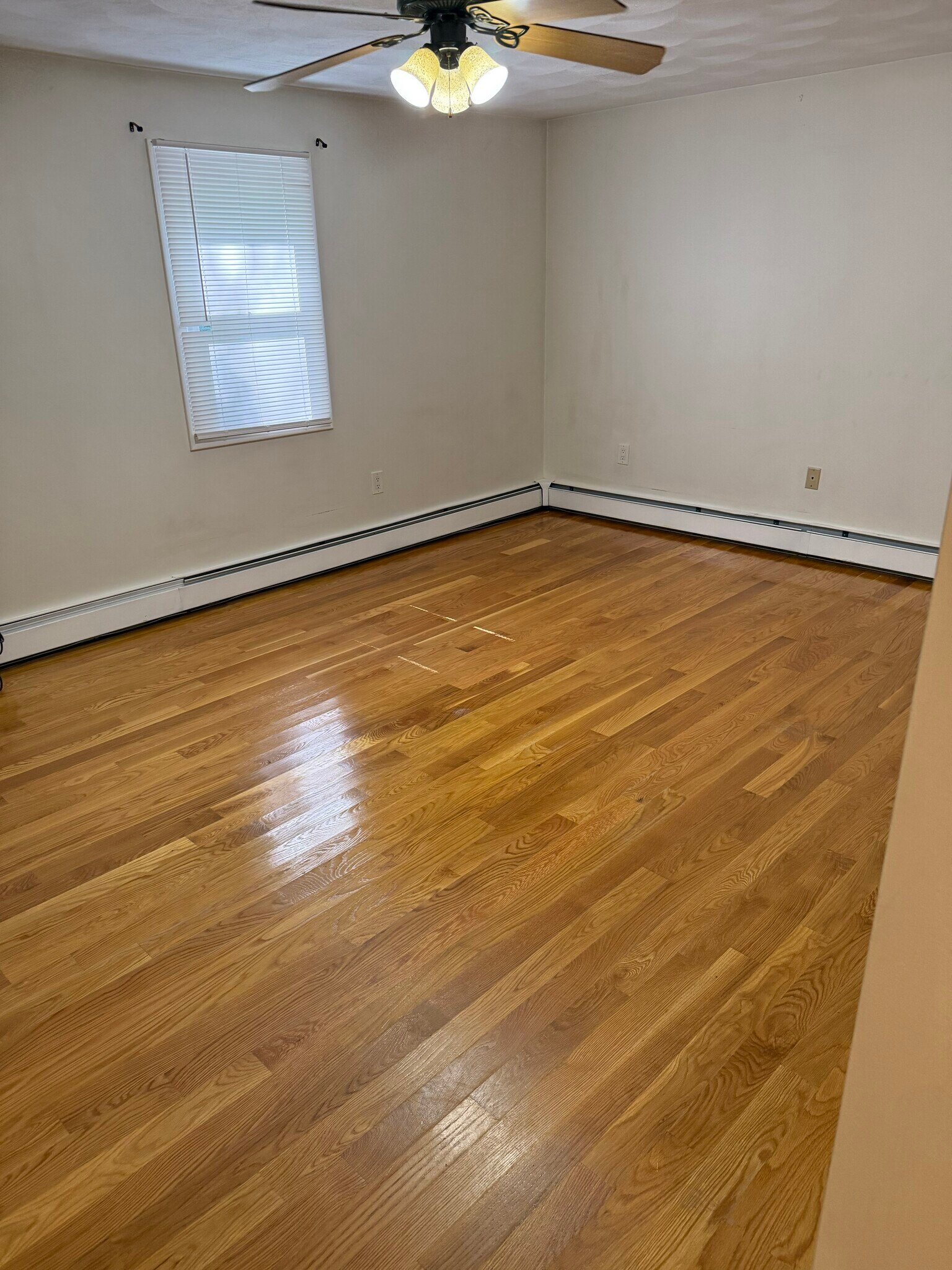 Master Bedroom 2 - 513 Tidewater Dr