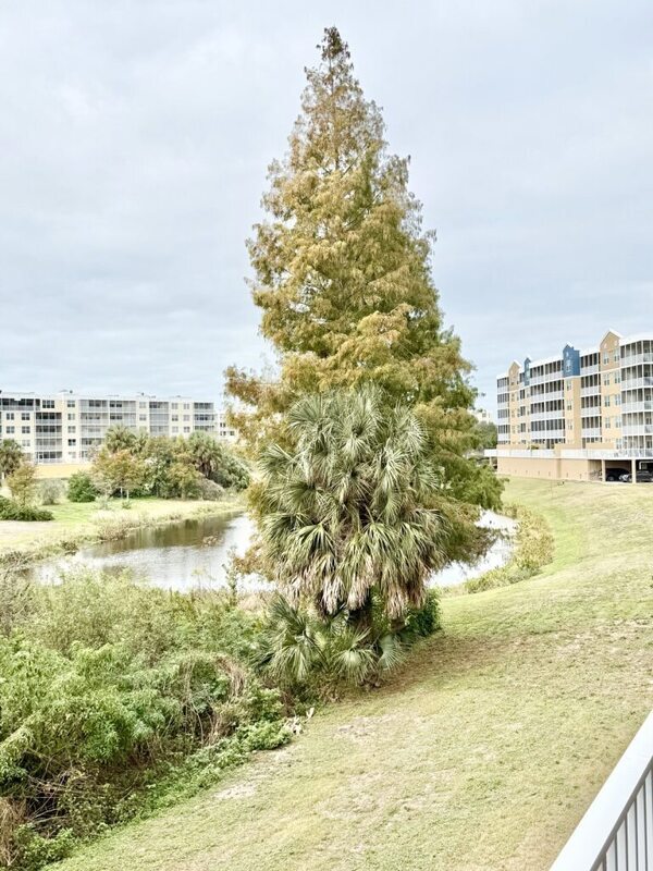 Building Photo - 960 Starkey Rd