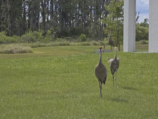 Building Photo - 32511 Welling Blade Loop