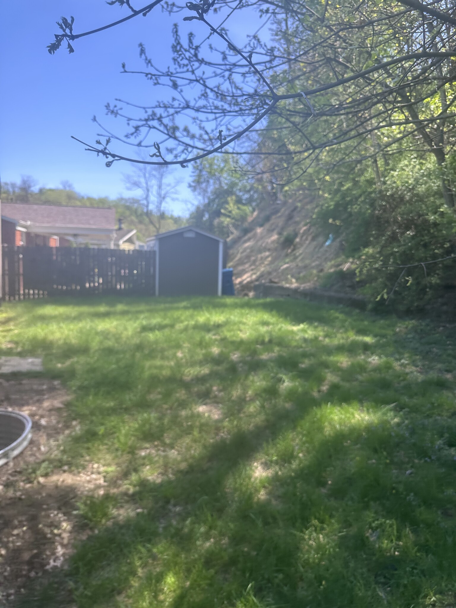 Building Photo - 11308 Azalea Dr