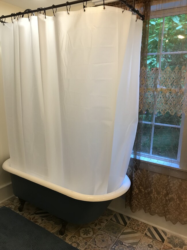 Main Bath Clawfoot tub with Shower - 14 Main St