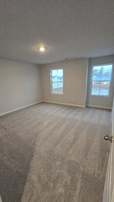 Building Photo - 2033 Osprey Isle Ln SW