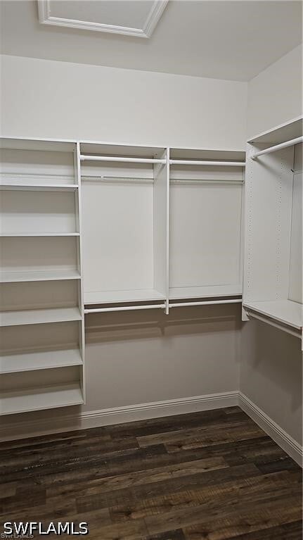 Building Photo - 2305 Ariane Dr