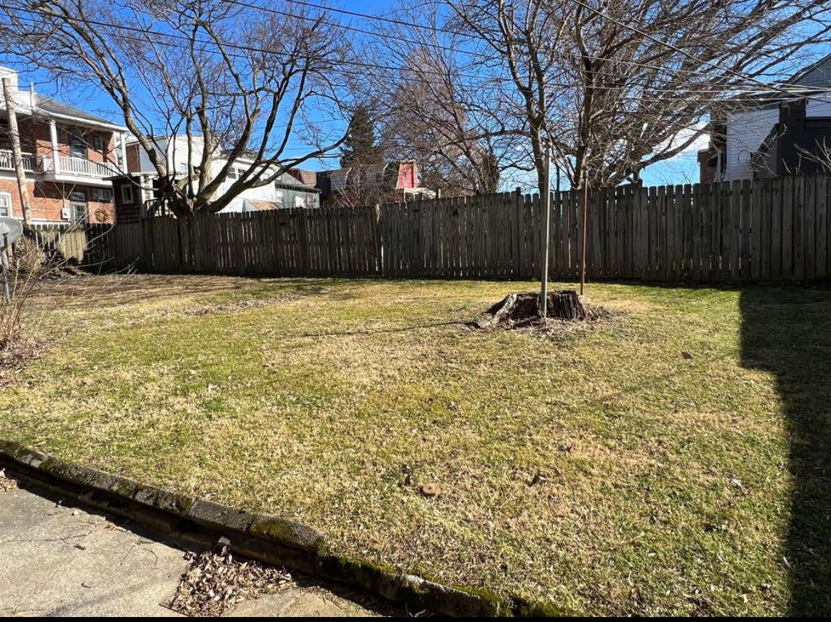 Backyard - 25 S West End Ave