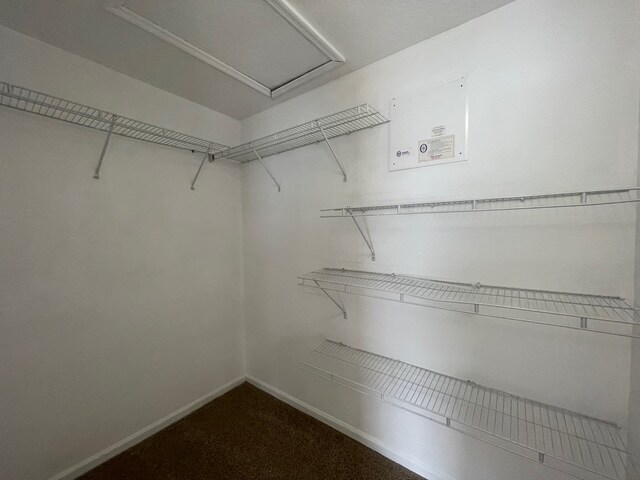 Building Photo - 927 Spring Harvest Ct