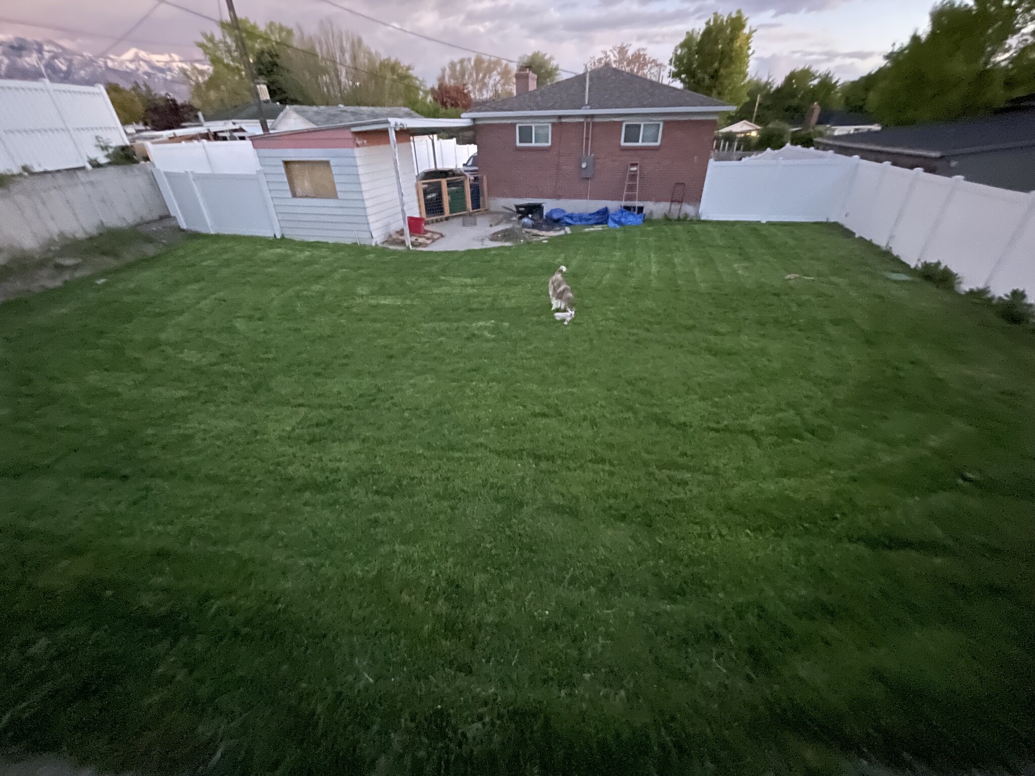 Building Photo - 1555 E Lanebrook Ln
