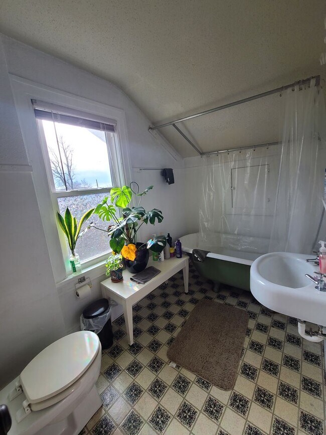 Building Photo - 709 N Busey Ave