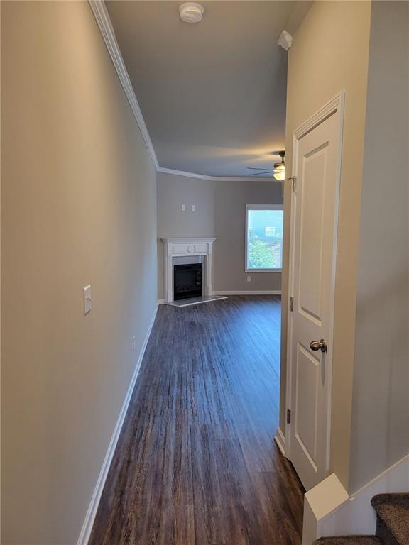 Building Photo - 5205 Fox Den Rd